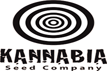 Kannabia Seed Company