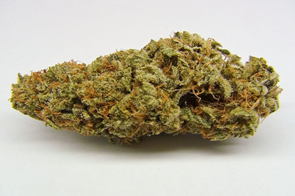 amnesia