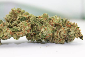 stoned