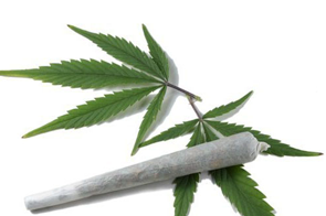 Joint