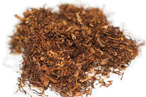tobacco